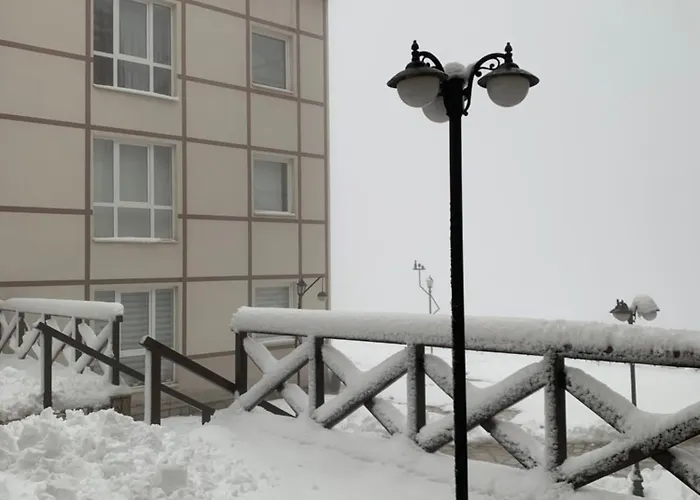 34, Kraljevi Cardaci *