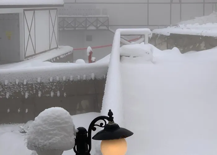 34, Kraljevi Cardaci شقة